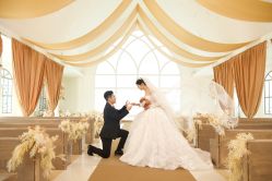 点击看大图 -金夫人婚纱摄影(华南店)