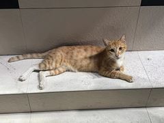 -叁 Three· bistro餐酒馆