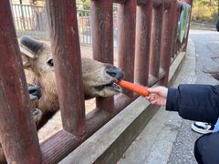 -无锡动物园·太湖欢乐园