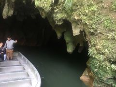 -怀托摩萤火虫洞