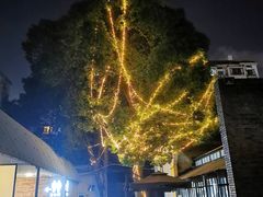 -几个木匠匠人厨房