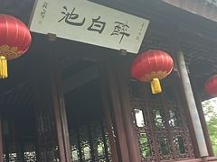 -上海醉白池公园