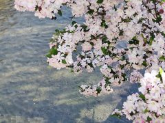 -海棠花溪(元大都城垣遗址公园)
