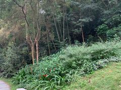 -云溪植物园