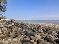 -上海吴淞炮台湾国家湿地公园
