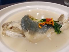 -肆月河豚·新淮扬(金融街店)