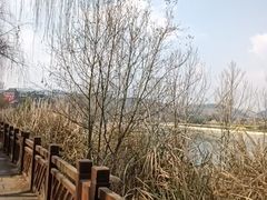 -五凤溪古镇