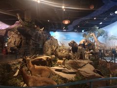 -陕西自然博物馆