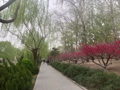 -元大都城垣遗址公园