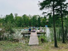 -上海长兴岛郊野公园