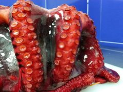 -上海虹桥宾馆味翠餐厅