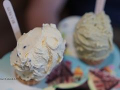 -野人先生现做冰淇淋(北京顺义祥云小镇店)