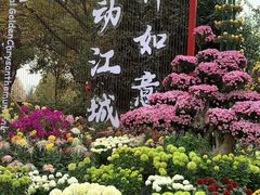 -花博汇(知音花月夜)