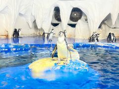 -太平洋海底世界