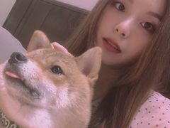 -逗柴咖啡屋·狗咖猫咖宠物桌游