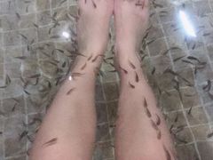 -中家鑫园温泉酒店鑫悦汤泉