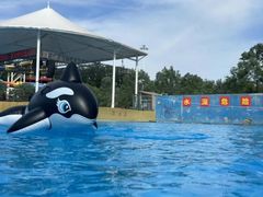 -海盗传奇水世界