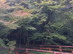-醍醐寺