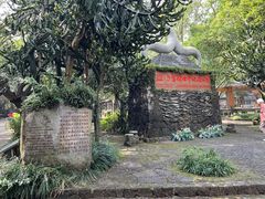 -海口火山口国家地质公园