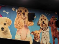 -大光明丽星VIP影城(昌里路杜比全景声店)
