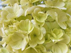 -灵福缘私房菜·农家菜(拈花湾·灵山大佛必推店)