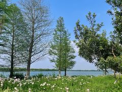 -阳澄湖半岛旅游度假区