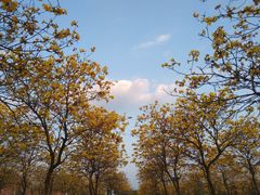 -露天矿生态公园