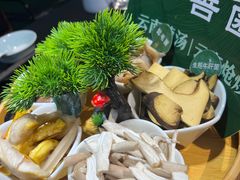 -一善菌·云南菌汤·云南菜(银泰城店)