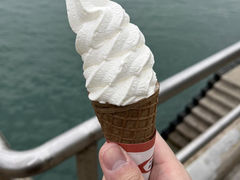-富豪雪糕车流动点(尖沙咀店)