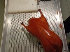 -原鄉本味 楚菜 丹江口鱼(北苑店)