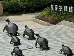 -广东惠东海龟国家级自然保护区