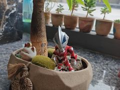 -红砖房乡村餐厅(海景店)