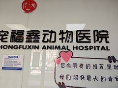 -宠福鑫动物医院(城北分院)