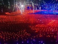 -哈尔滨文化公园