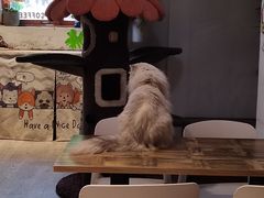 -小时光咖啡馆(北锣鼓巷店)