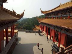 -东莞市大岭山森林公园