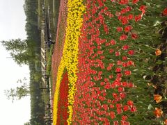 F:\图片\点评\植物园上传\IMG081-沈阳植物园