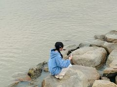 -宝安西湾红树林湿地公园