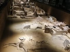 -洛阳周王城天子驾六博物馆