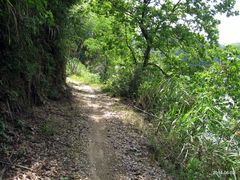 -千岛湖龙川湾