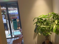 -苑苑vbeauty科技美容SPA