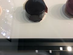 -BLACKSWAN黑天鹅(环球店)