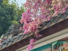 -深圳国际园林花卉博览园