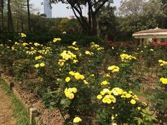 -人民公园(罗湖区)