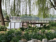 -石家庄市植物园