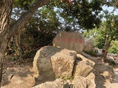 -紫金山山顶公园