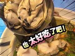 -千岛蚝高压锅生蚝·人参火锅(白云万达店)