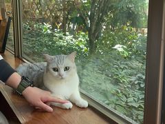 -咖法森林·咖啡  酒吧(天河店)