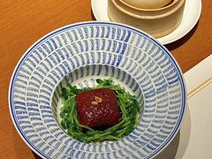 -觀芷隐轩