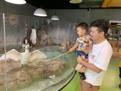 点击看大图 -七巧国萌宠乐园(龙湖天街店)
